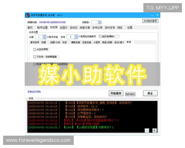 掌握百家乐网站玩法的关键技巧,轻松提升你的赢钱概率