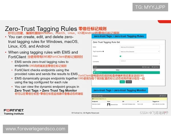 如何快速识别ag视讯官网地址确保安全可靠的访问指南